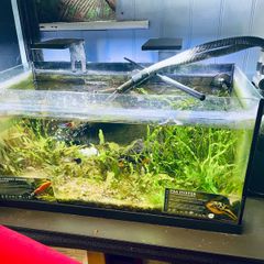 aquarium