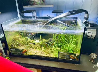 aquarium