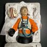 The Star Wars Gentle Giant Luke Skywalker X-Wing Pilot Bust Image 4