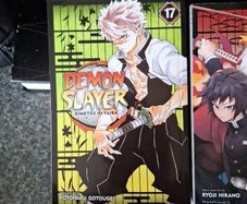 Demon Slayer books