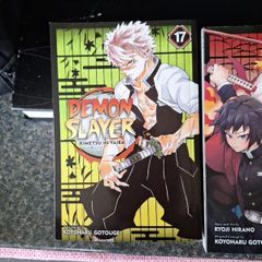 Demon Slayer books