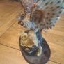 The Juliana collection Eagle owl family Image 2