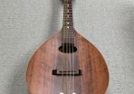 Mandolin