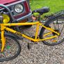 frog bike Image 2