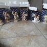 figurines Image 2
