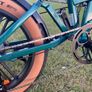 Brand New Fiido M1 Pro electric foldable bike Image 2