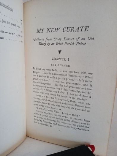 My New Curate: A Story Gathered from the Stray Leaves of an Old Diary by Rev. P. A. Sheehan (GT584)