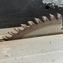 Table Saw Image 4