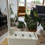 Smart Garden 3 Ready to Grow Image 2