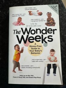 the wonder weeks
