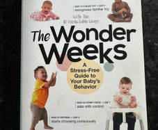 the wonder weeks