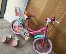 kids bike 14 inch