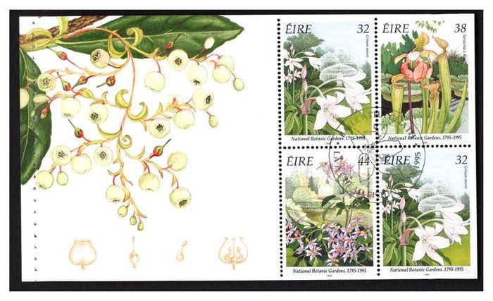 1995 Ireland National Botanic Gardens Stamp Booklet with First Day of Issue Pictorial Cancel.