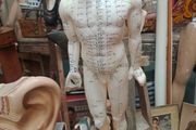 Vintage Anatomical Male Mannequin