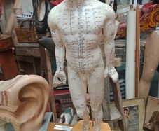 Vintage Anatomical Male Mannequin