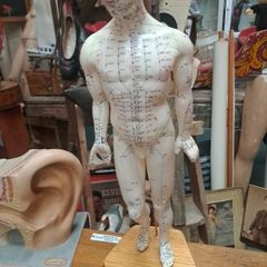 Vintage Anatomical Male Mannequin