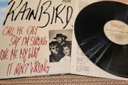 Rainbirds - Call Me Easy Say I'm Strong Love Me My Way It Ain't Wrong