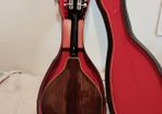 Ibanez Mandolin