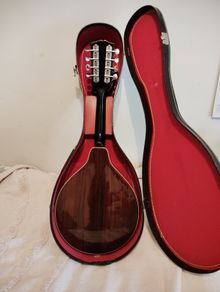 Ibanez Mandolin