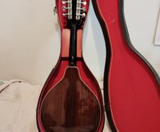 Ibanez Mandolin