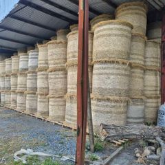 Organic hay for sale