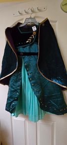 Anna costume