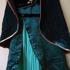 Anna costume