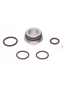 Oil pump dragon seal Opel Insignia 2.0 CDTI