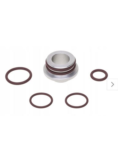 Oil pump dragon seal Opel Insignia 2.0 CDTI