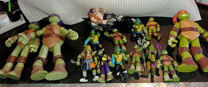 Teenage mutant ninja turtles collection