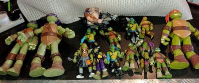 Teenage mutant ninja turtles collection