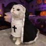 Pet Halloween Costumes Image 5