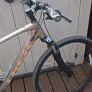 Trek hybryd Dual Sport 2l Image 2