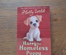 Harry the homeless puppy