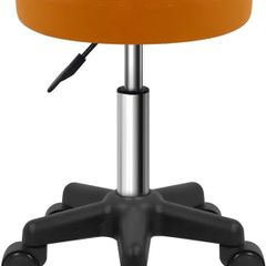 Round Rolling Stool with Wheels Height Adjustable Stool Spa Stool for Salon Massage Home Kitchen Brown