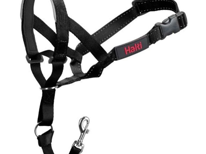 Halti Headcollar