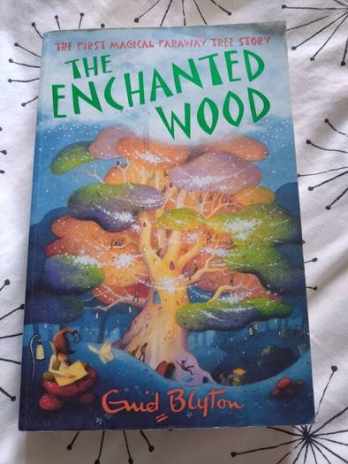 the enchanted wood by Enid Blyton