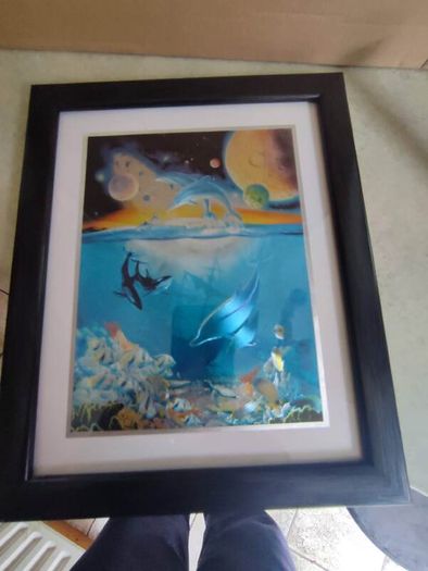 Lovely Framed Print Of Dolphin Sea Life Marine.