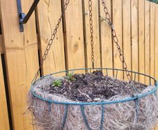 Hanging flower pots and seeding boxes