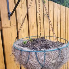 Hanging flower pots and seeding boxes