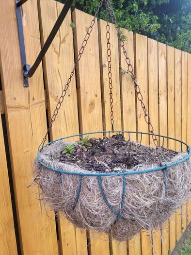 Hanging flower pots and seeding boxes