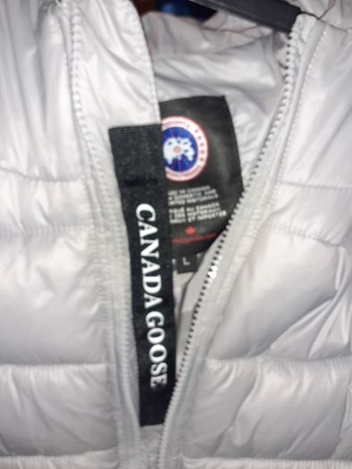 Canada Goose