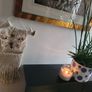 wall decoration with deer antler Image 3