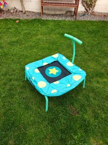 Bluey mini Trampoline