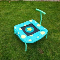 Bluey mini Trampoline