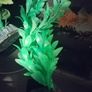 Decorations for Fish Tank Image 6