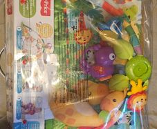 Rainforest Music and Lights Deluxe Gym