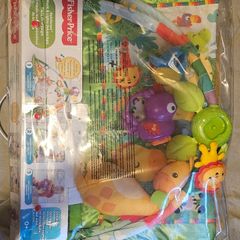 Rainforest Music and Lights Deluxe Gym