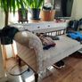 Chaise lounge Image 6