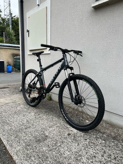 mountain bike carrera